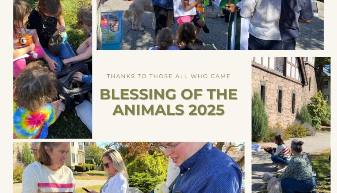 Photo Collage - We Appreciate Your Attendance