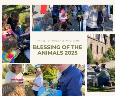 Photo Collage - We Appreciate Your Attendance